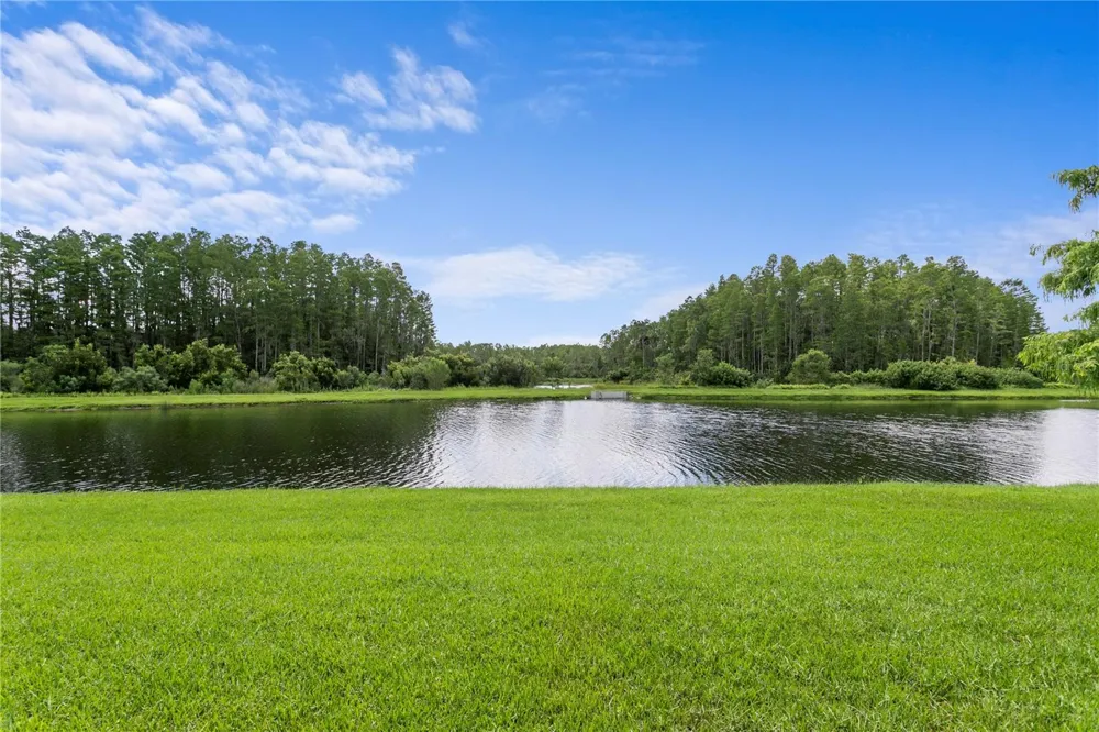 2160 SECRET COVE Odessa, FL 33556