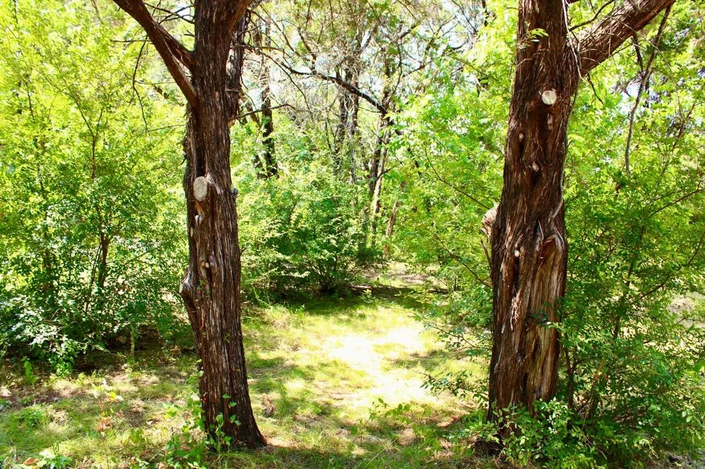 4902 Village Drive Rio Vista, TX 76093