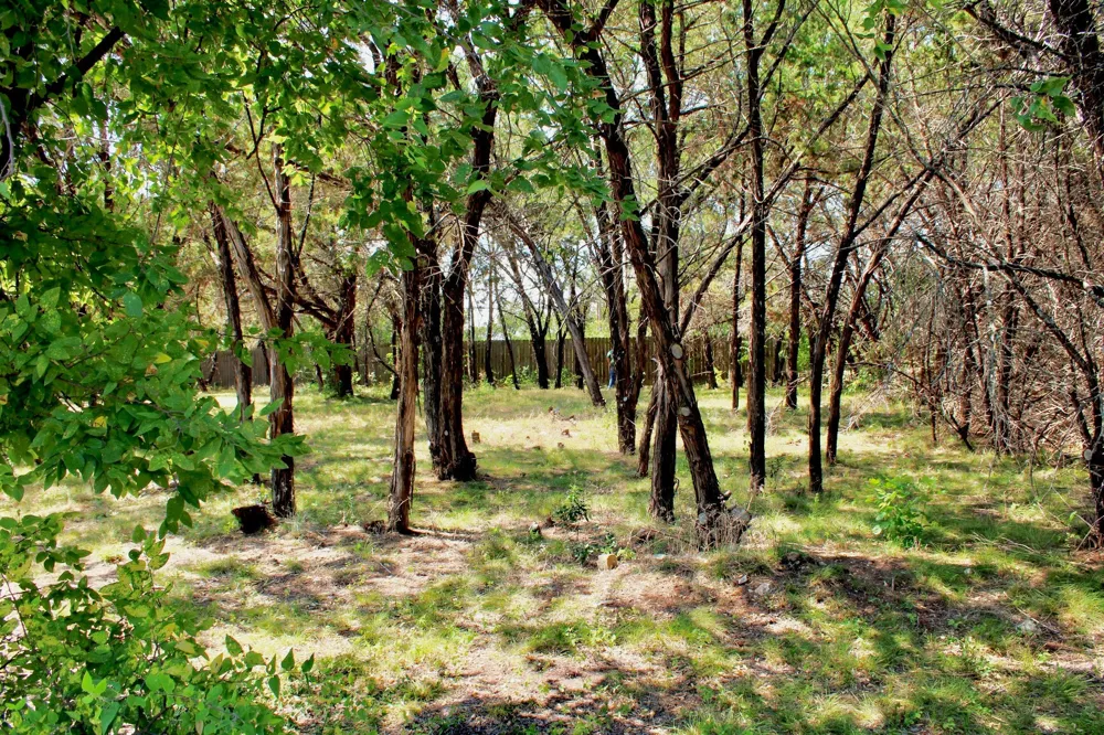 4902 Village Drive Rio Vista, TX 76093