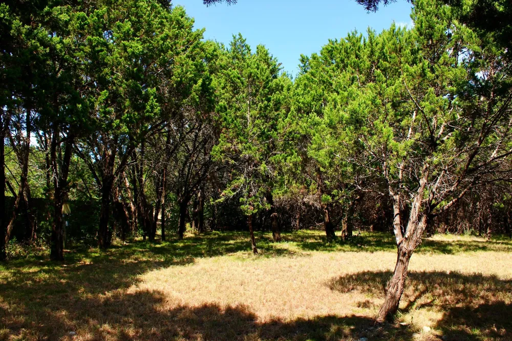 4902 Village Drive Rio Vista, TX 76093