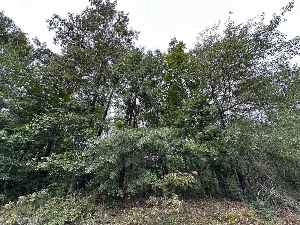 0-36 Nelson Court Louisville, GA 30434