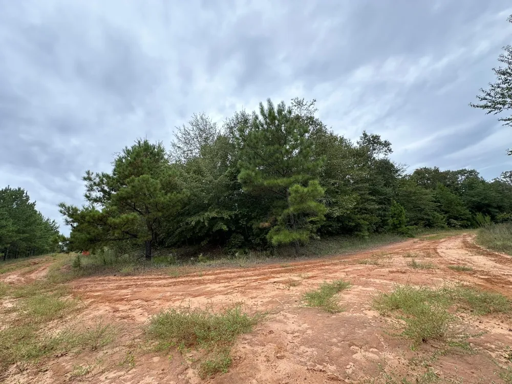 0-36 Nelson Court Louisville, GA 30434