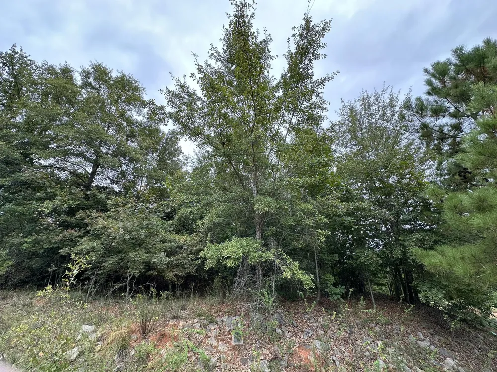 0-36 Nelson Court Louisville, GA 30434