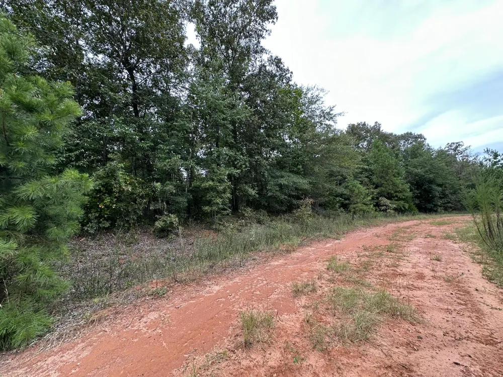 0-36 Nelson Court Louisville, GA 30434