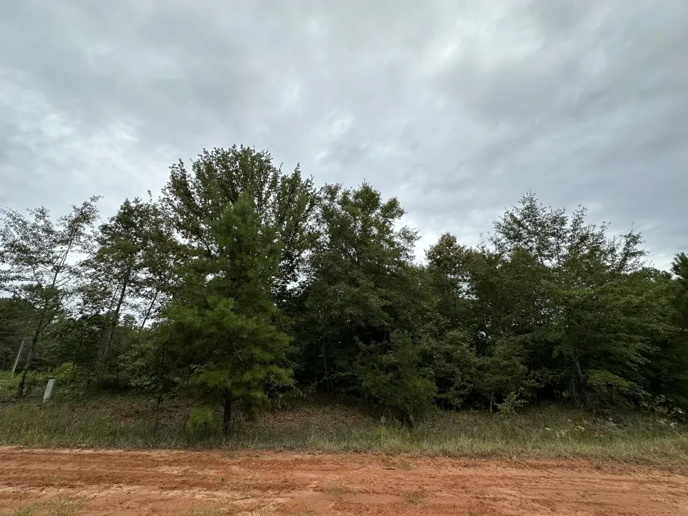 0-36 Nelson Court Louisville, GA 30434