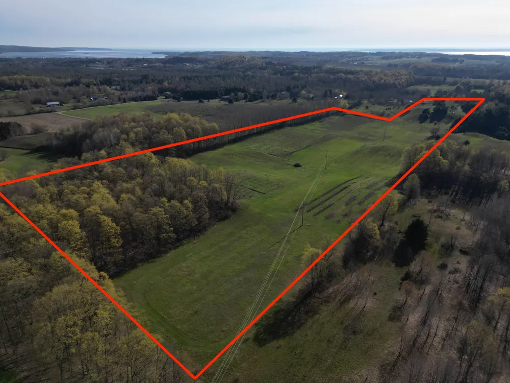 2768 S Center Highway Bingham Township, MI 49682