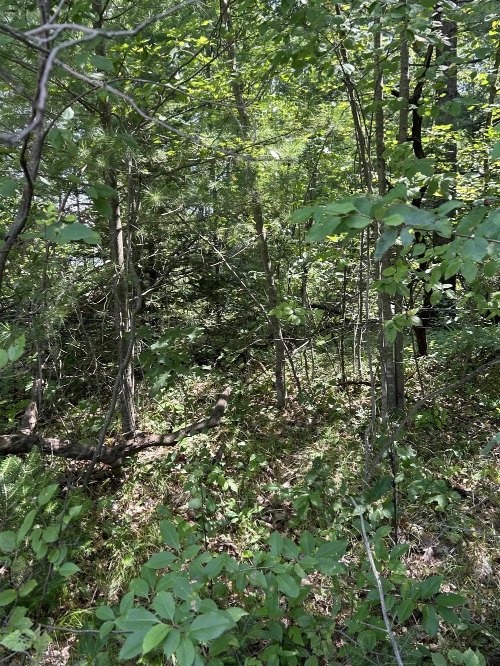 Choctaw Trail Churchill Township, MI 48661