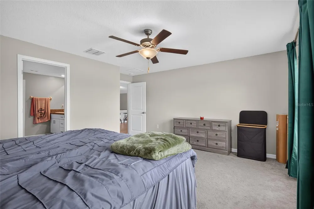 5420 LESLIE CANYON DRIVE Wimauma, FL 33598