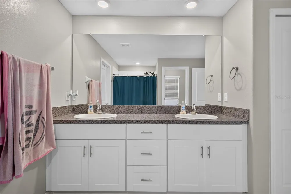 5420 LESLIE CANYON DRIVE Wimauma, FL 33598