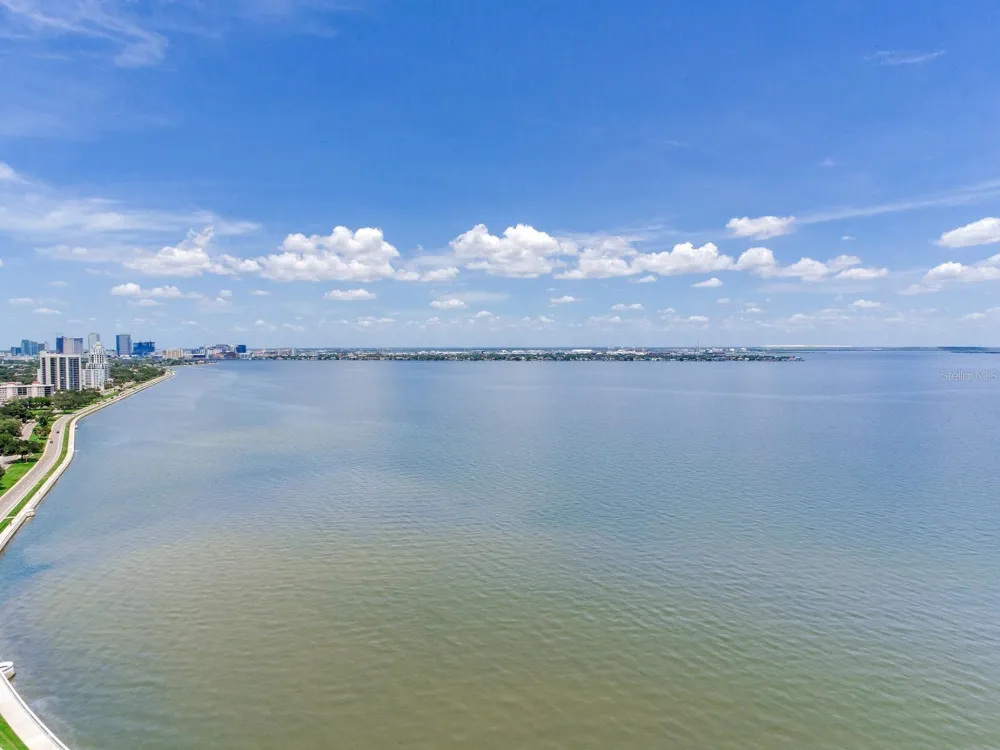 3101 W BAYSHORE BOULEVARD #2304 Tampa, FL 33629
