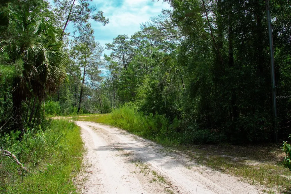 202 UTAH STREET Satsuma, FL 32189