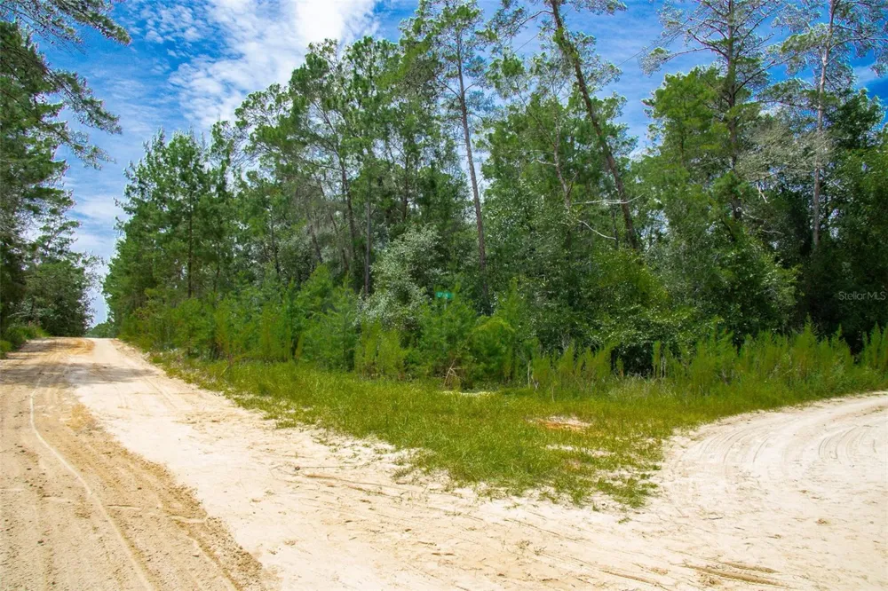 206 UTAH STREET Satsuma, FL 32189