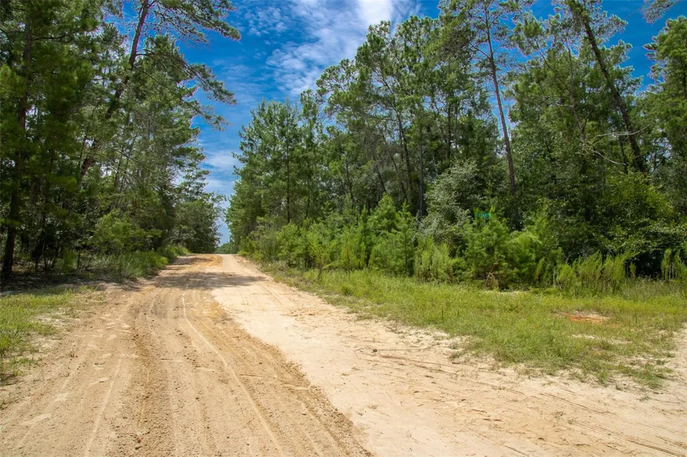206 UTAH STREET Satsuma, FL 32189