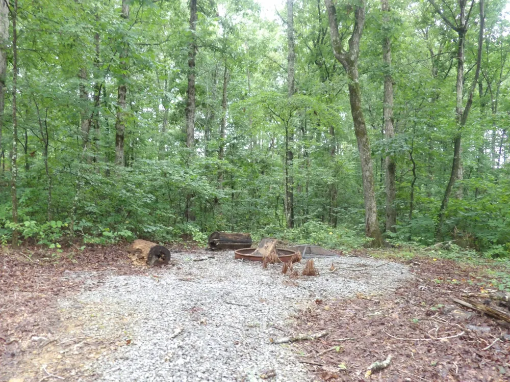 135 Tooley Trail Lane Mc Ewen, TN 37101