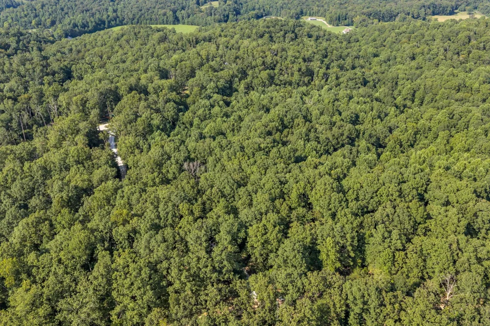 135 Tooley Trail Lane Mc Ewen, TN 37101