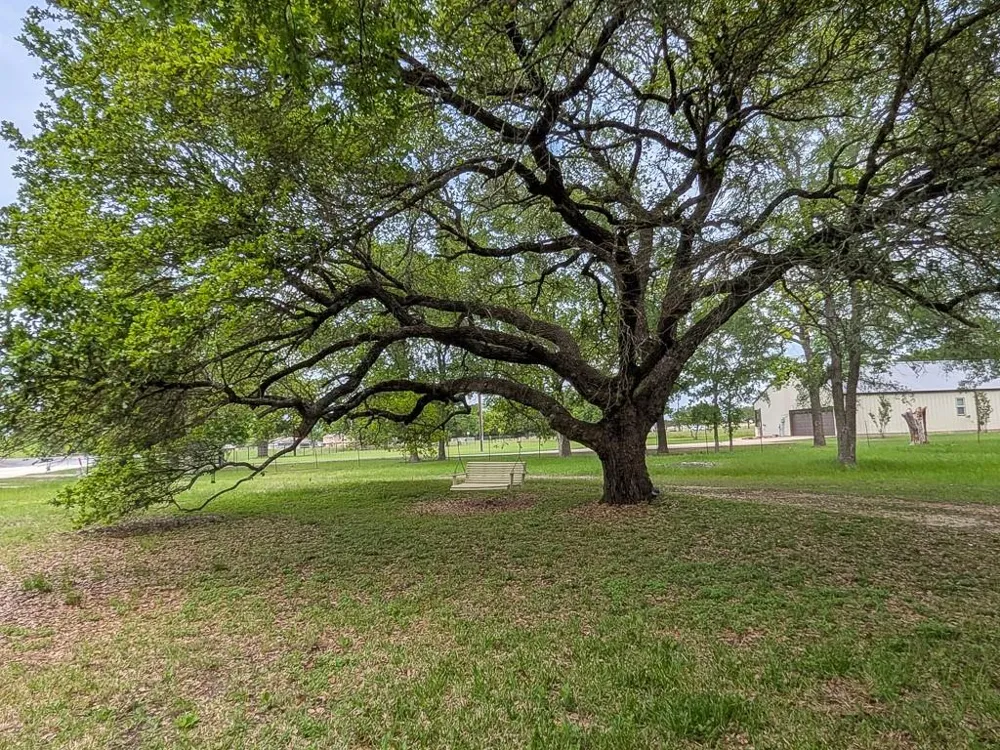 1139 County Rd 403 Anderson, TX 77830