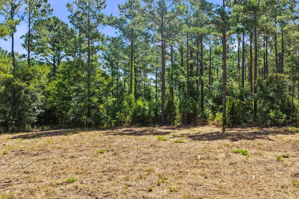 County Road 1240 Pittsburg, TX 75686