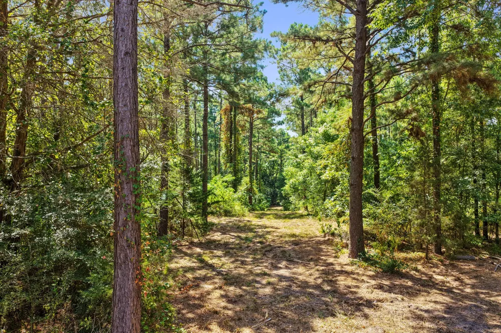 County Road 1240 Pittsburg, TX 75686