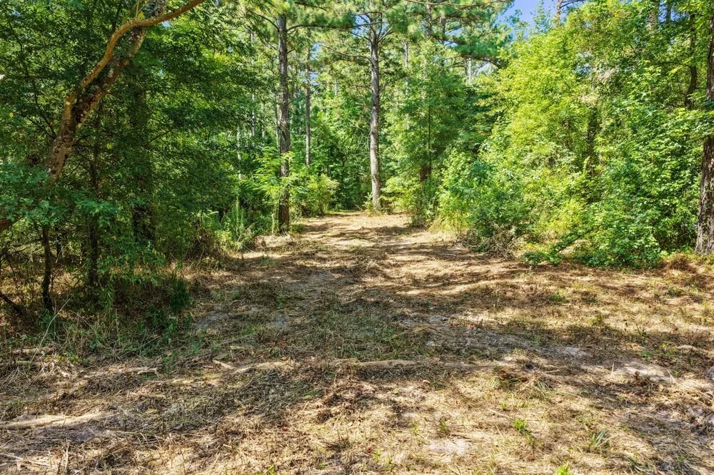 County Road 1240 Pittsburg, TX 75686
