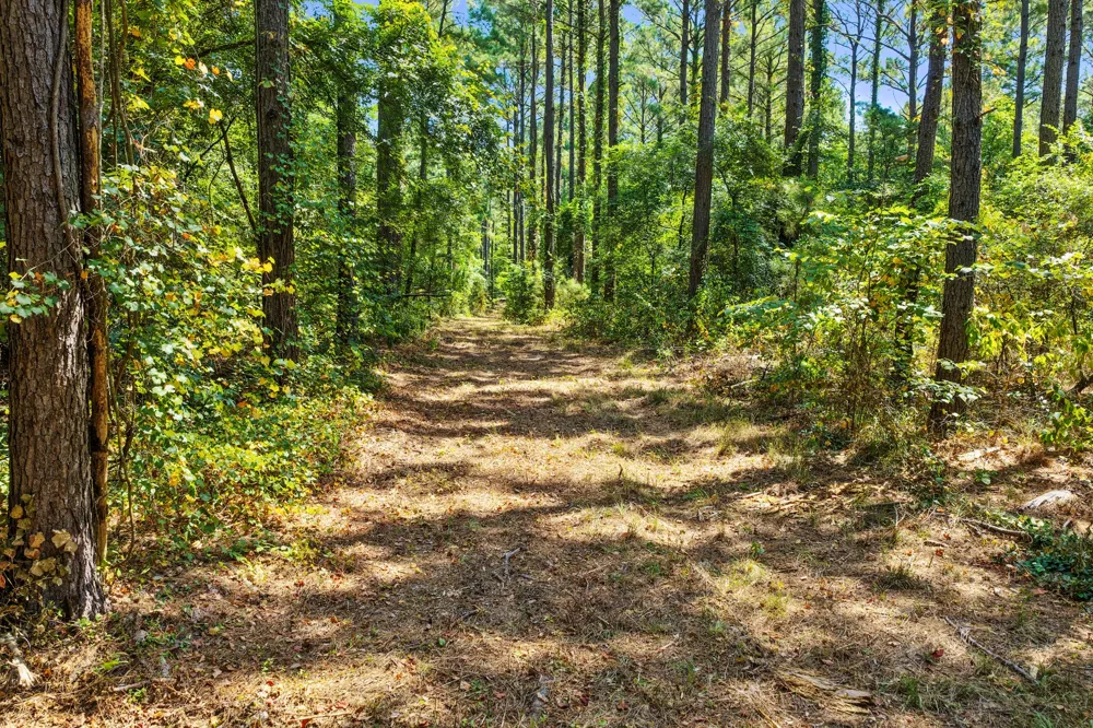 County Road 1240 Pittsburg, TX 75686