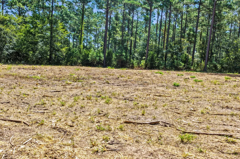 County Road 1240 Pittsburg, TX 75686
