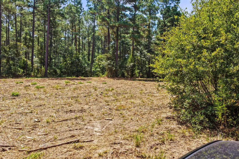 County Road 1240 Pittsburg, TX 75686