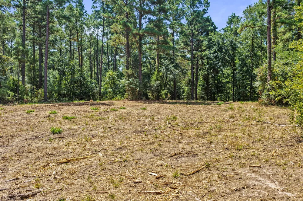 County Road 1240 Pittsburg, TX 75686