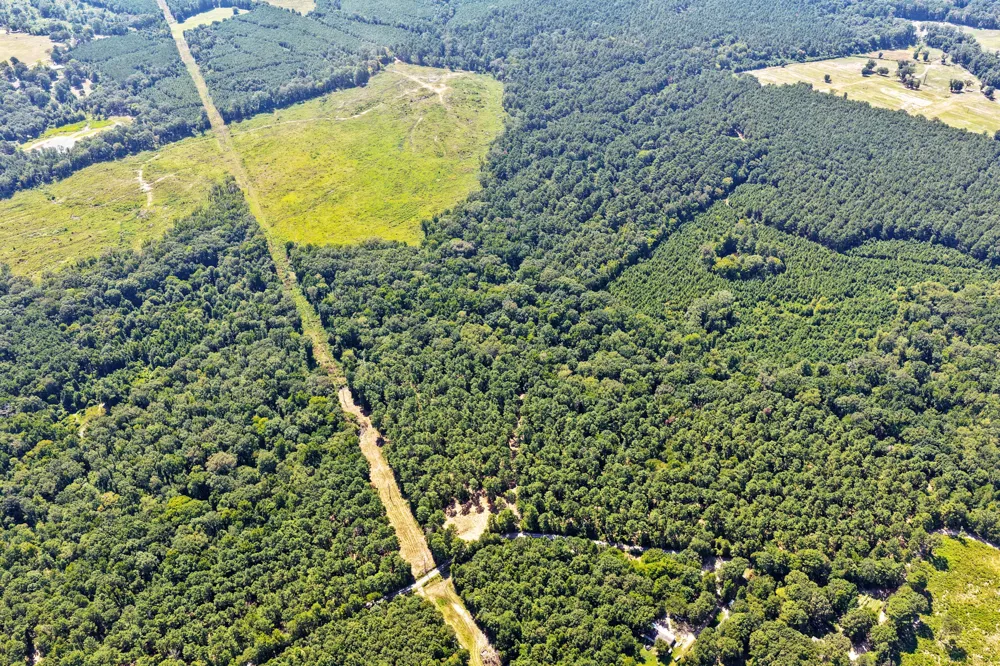 County Road 1240 Pittsburg, TX 75686