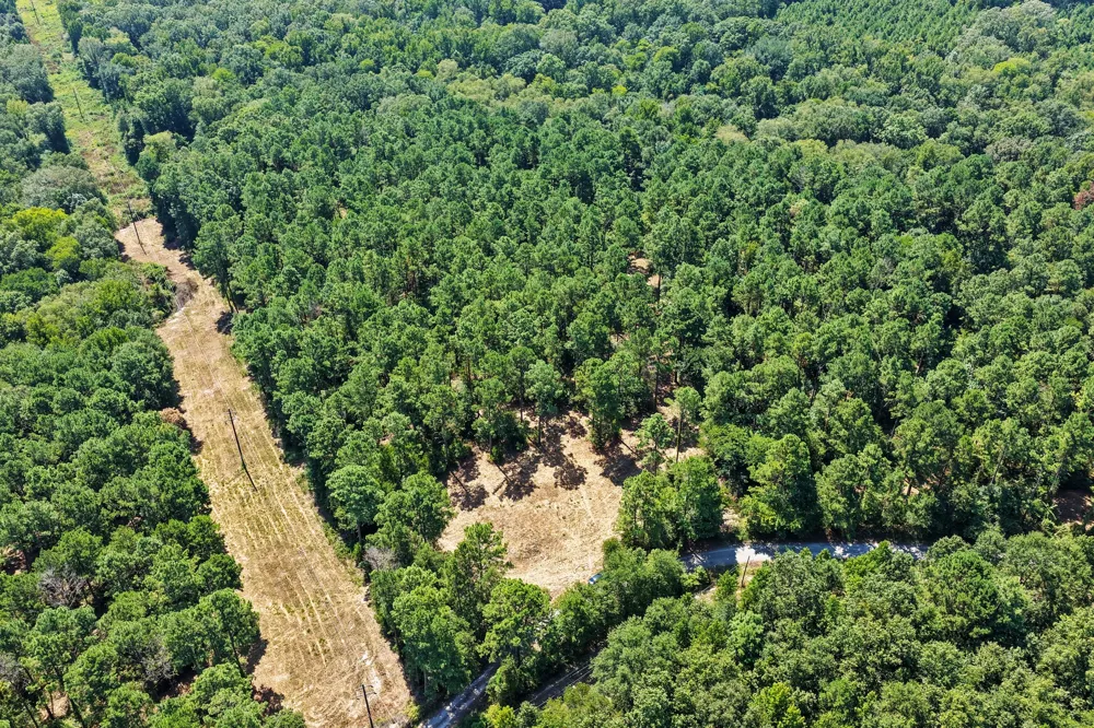 County Road 1240 Pittsburg, TX 75686