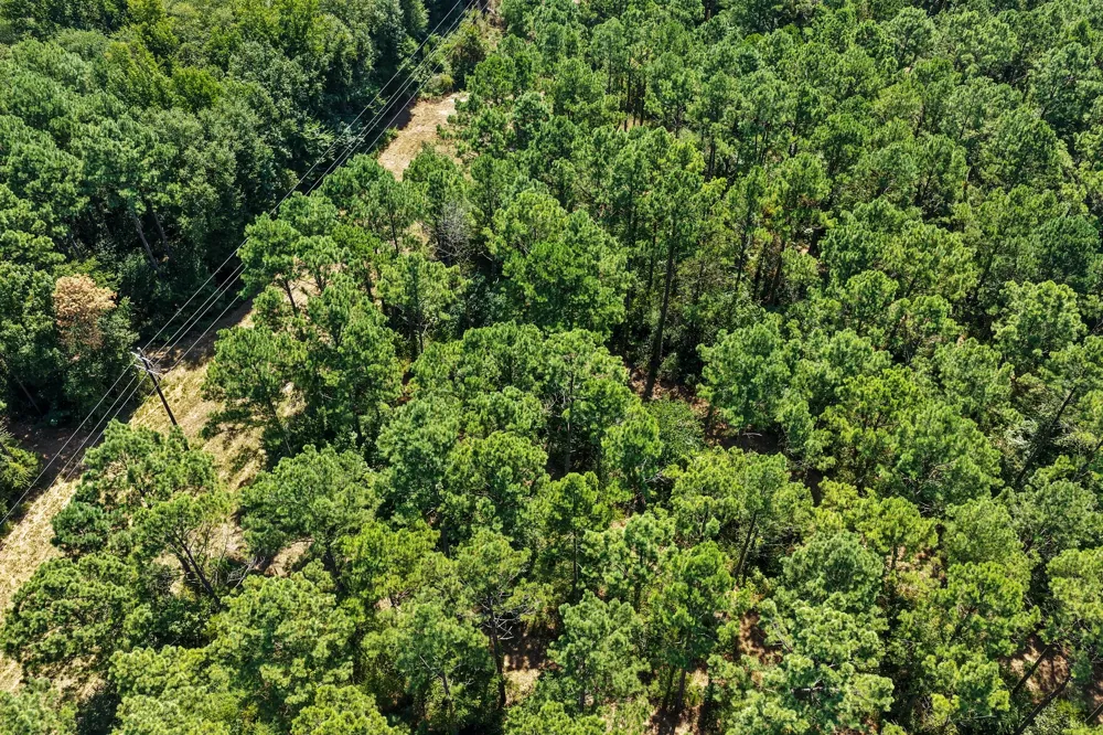 County Road 1240 Pittsburg, TX 75686