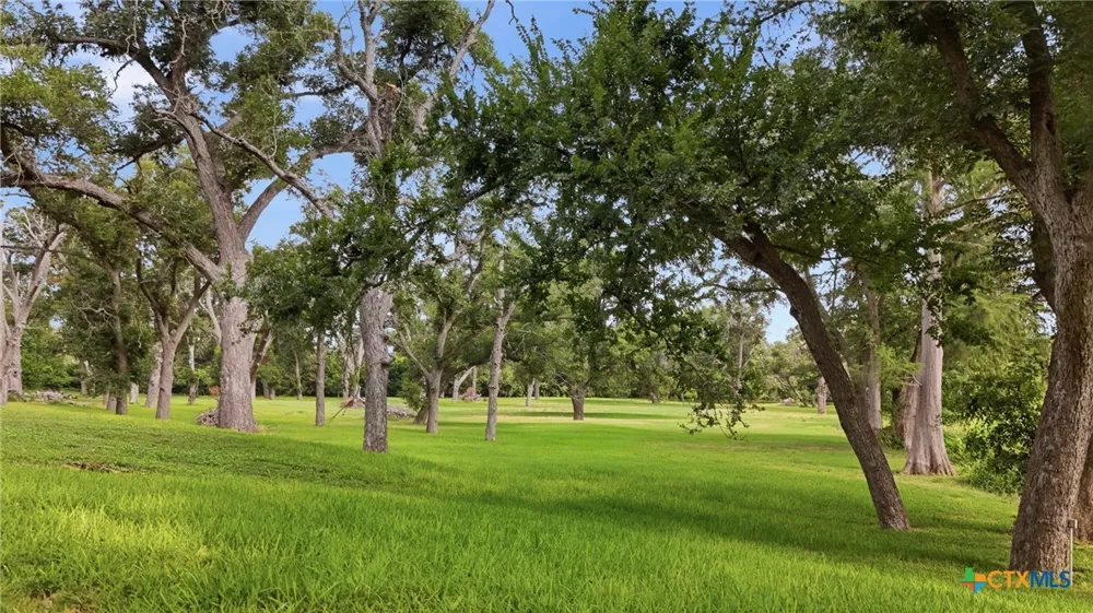 1196 Loch Lane Seguin, TX 78155