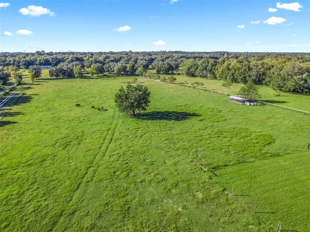9926 SE SUNSET HARBOR ROAD Summerfield, FL 34491
