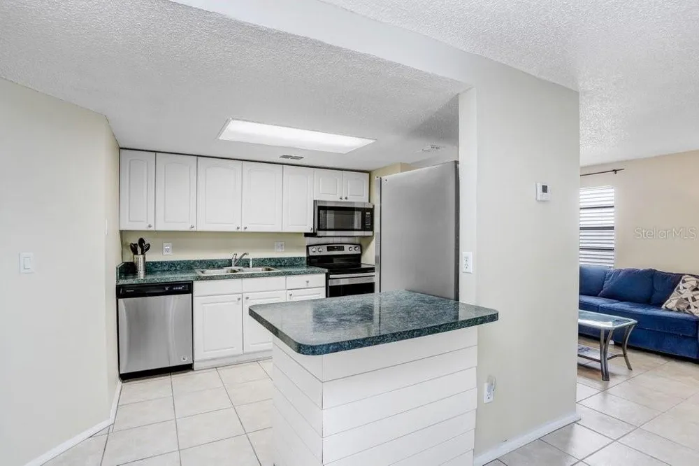 134 SYCAMORE LANE #F Oldsmar, FL 34677