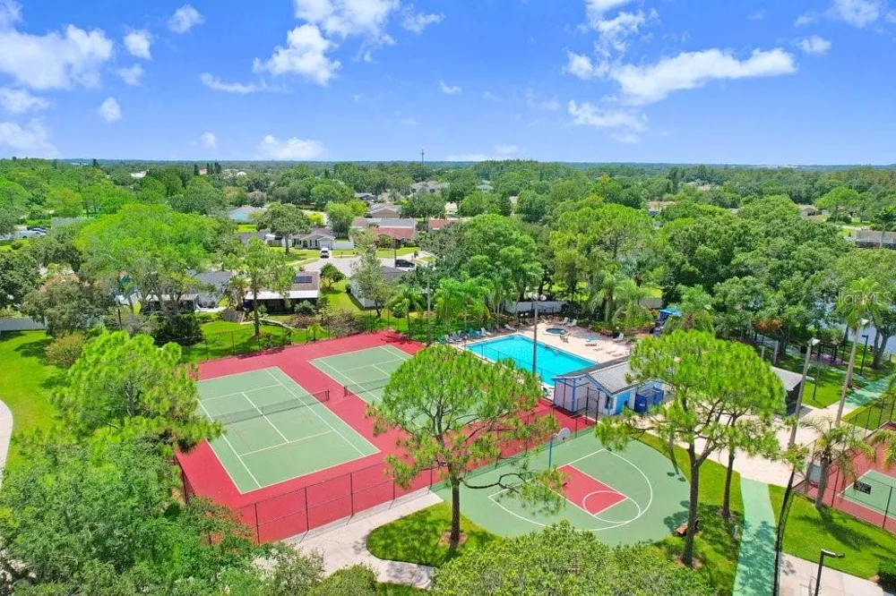 134 SYCAMORE LANE #F Oldsmar, FL 34677