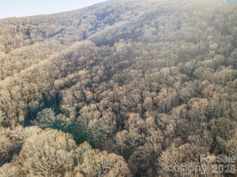 00 Wildflower Cove Road #18 Swannanoa, NC 28778