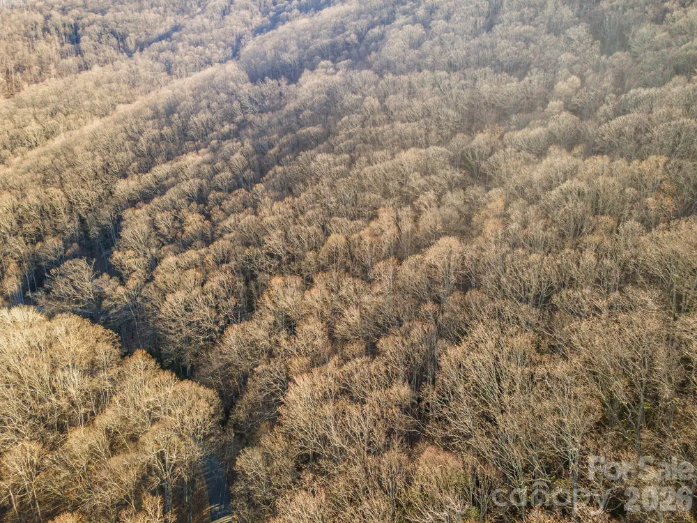 00 Wildflower Cove Road #18 Swannanoa, NC 28778