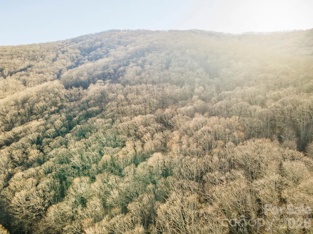 00 Wildflower Cove Road #18 Swannanoa, NC 28778
