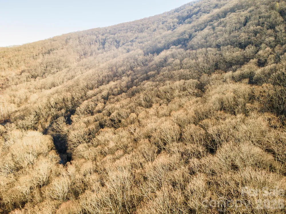 00 Wildflower Cove Road #18 Swannanoa, NC 28778