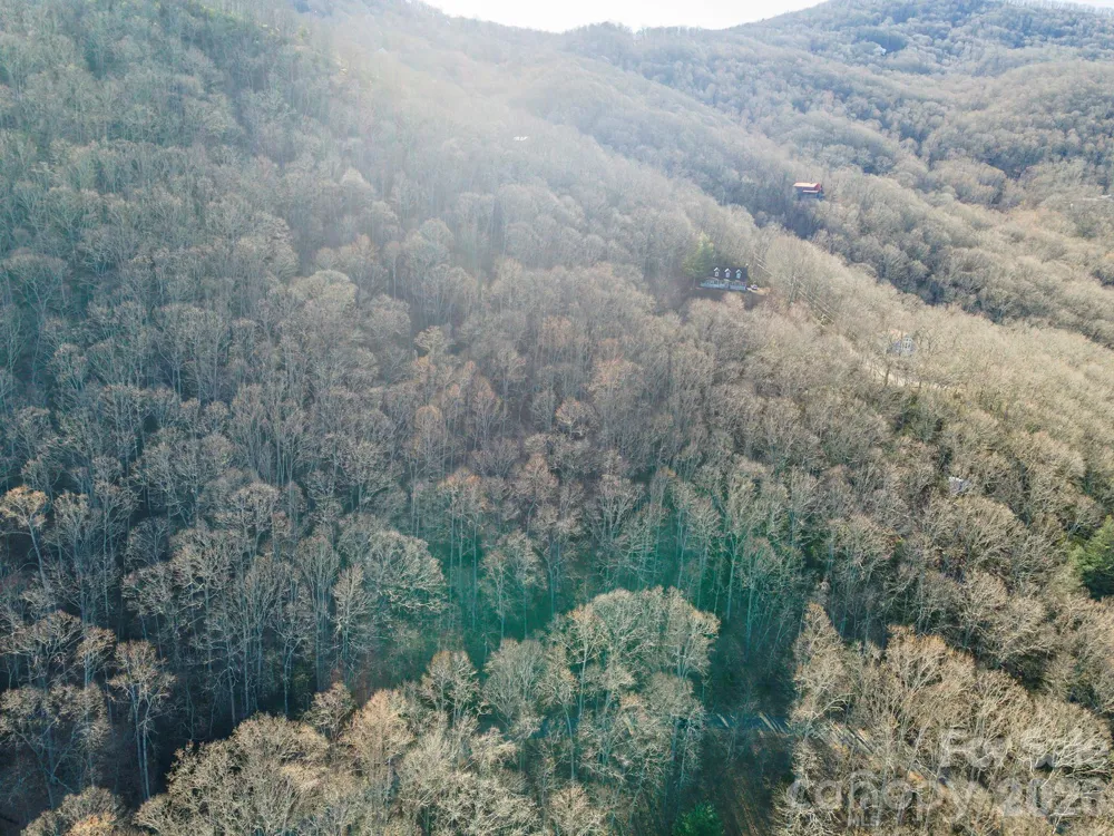 00 Wildflower Cove Road #18 Swannanoa, NC 28778