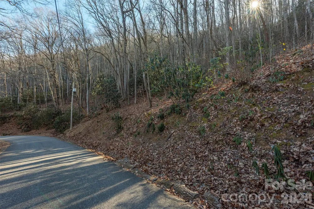 00 Wildflower Cove Road #18 Swannanoa, NC 28778