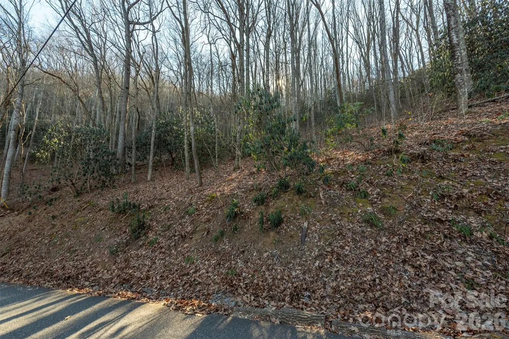 00 Wildflower Cove Road #18 Swannanoa, NC 28778