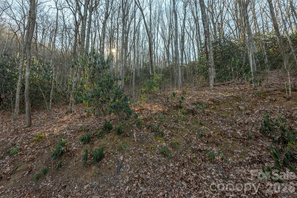 00 Wildflower Cove Road #18 Swannanoa, NC 28778