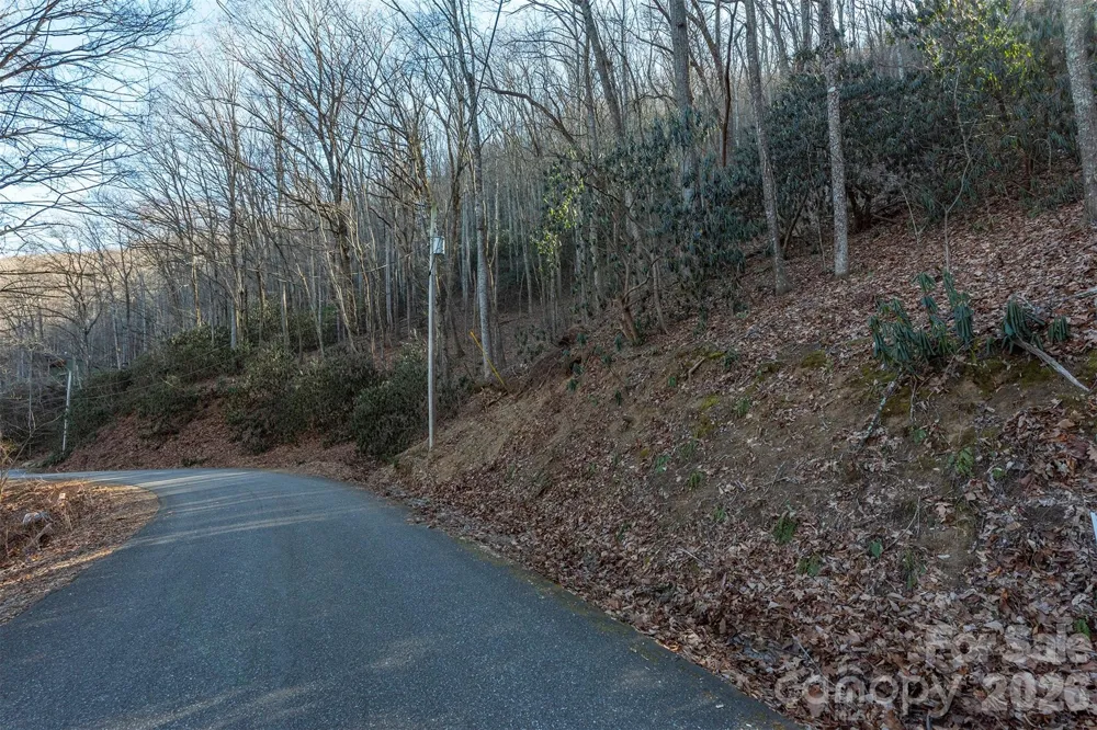 00 Wildflower Cove Road #18 Swannanoa, NC 28778