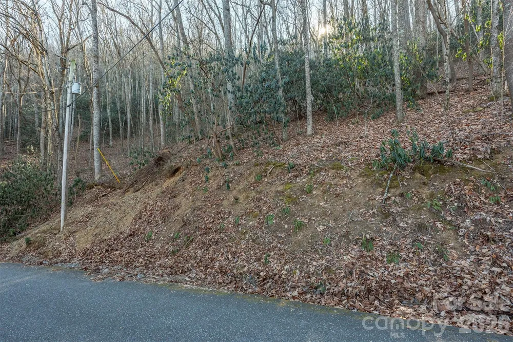 00 Wildflower Cove Road #18 Swannanoa, NC 28778