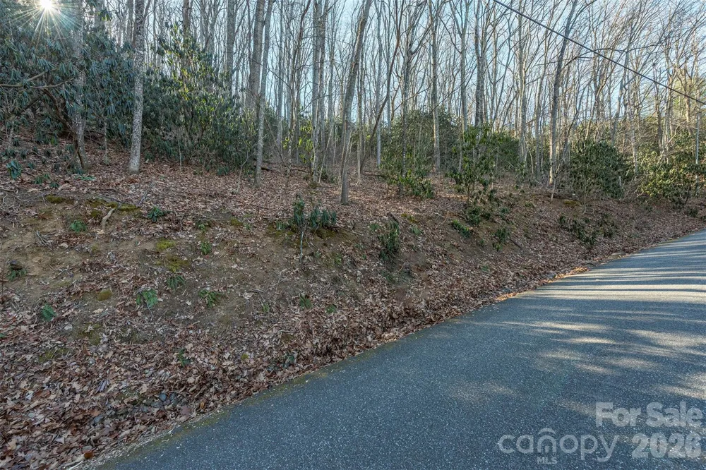 00 Wildflower Cove Road #18 Swannanoa, NC 28778