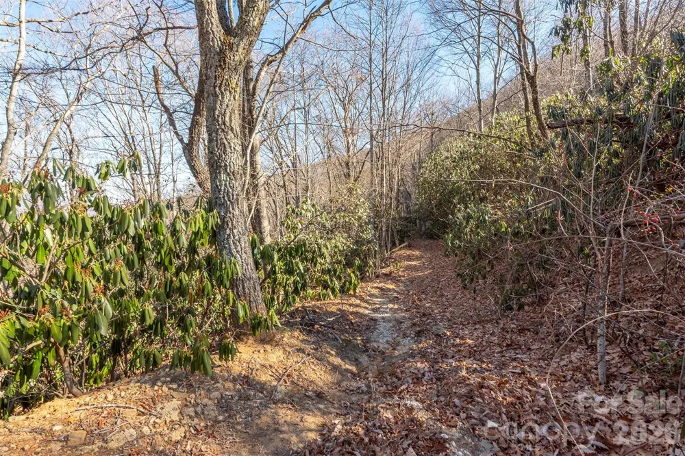 00 Wildflower Cove Road #18 Swannanoa, NC 28778