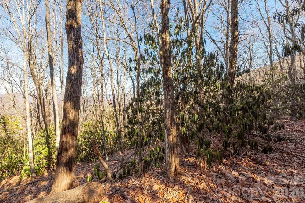 00 Wildflower Cove Road #18 Swannanoa, NC 28778