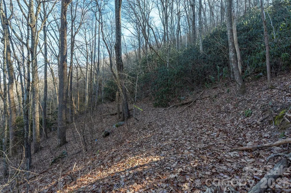 00 Wildflower Cove Road #18 Swannanoa, NC 28778