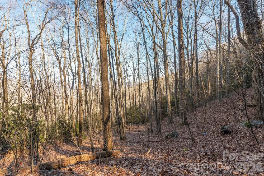 00 Wildflower Cove Road #18 Swannanoa, NC 28778