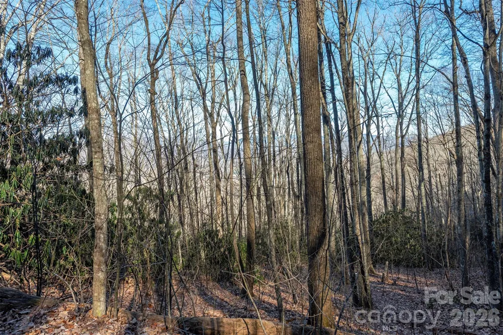 00 Wildflower Cove Road #18 Swannanoa, NC 28778